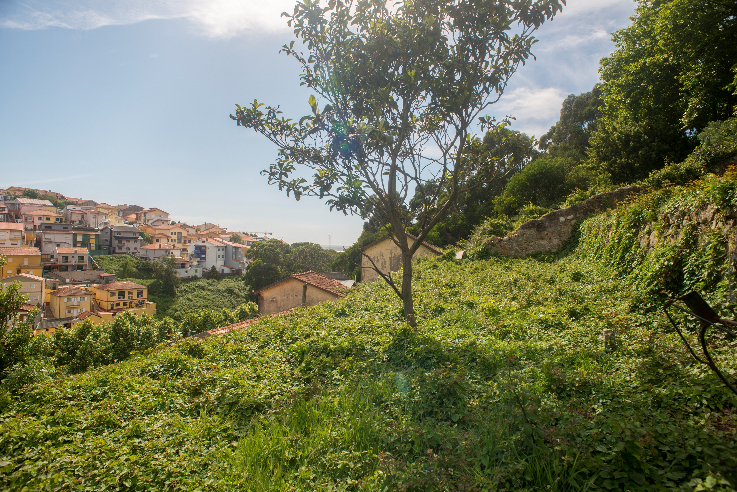 Terreno para construção na Afurada