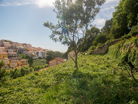 Terreno para construção na Afurada
