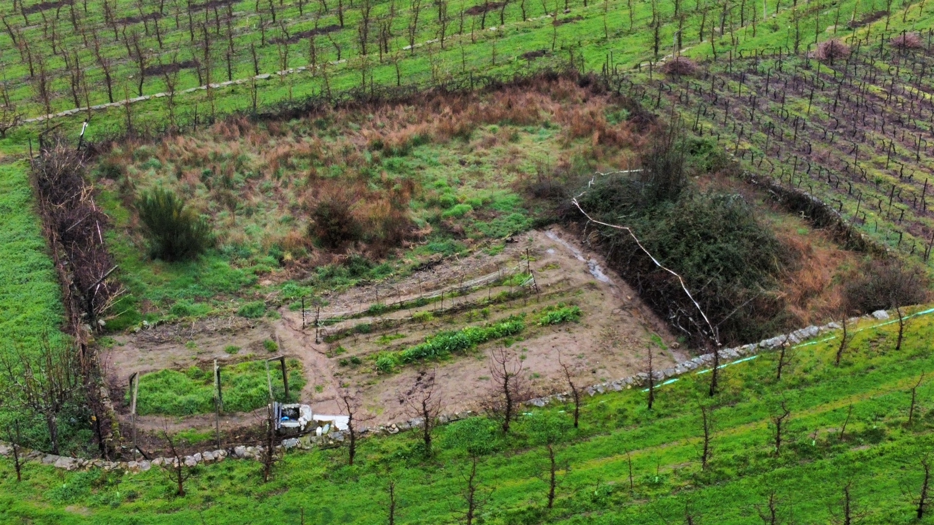 Terrenos Rústicos – Aricera e Goujoim, Armamar (Viseu)