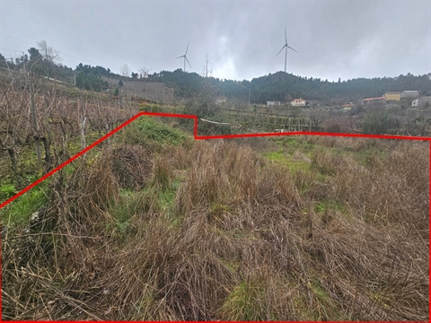 Terrenos Rústicos – Aricera e Goujoim, Armamar (Viseu)
