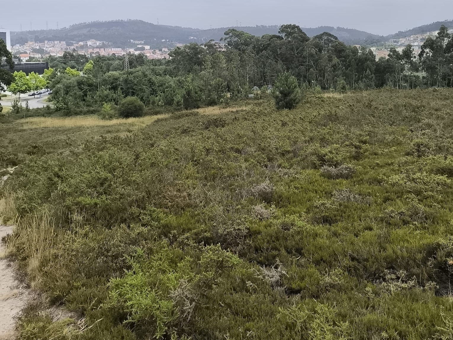 Terreno Misto