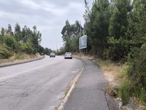 Terreno Misto